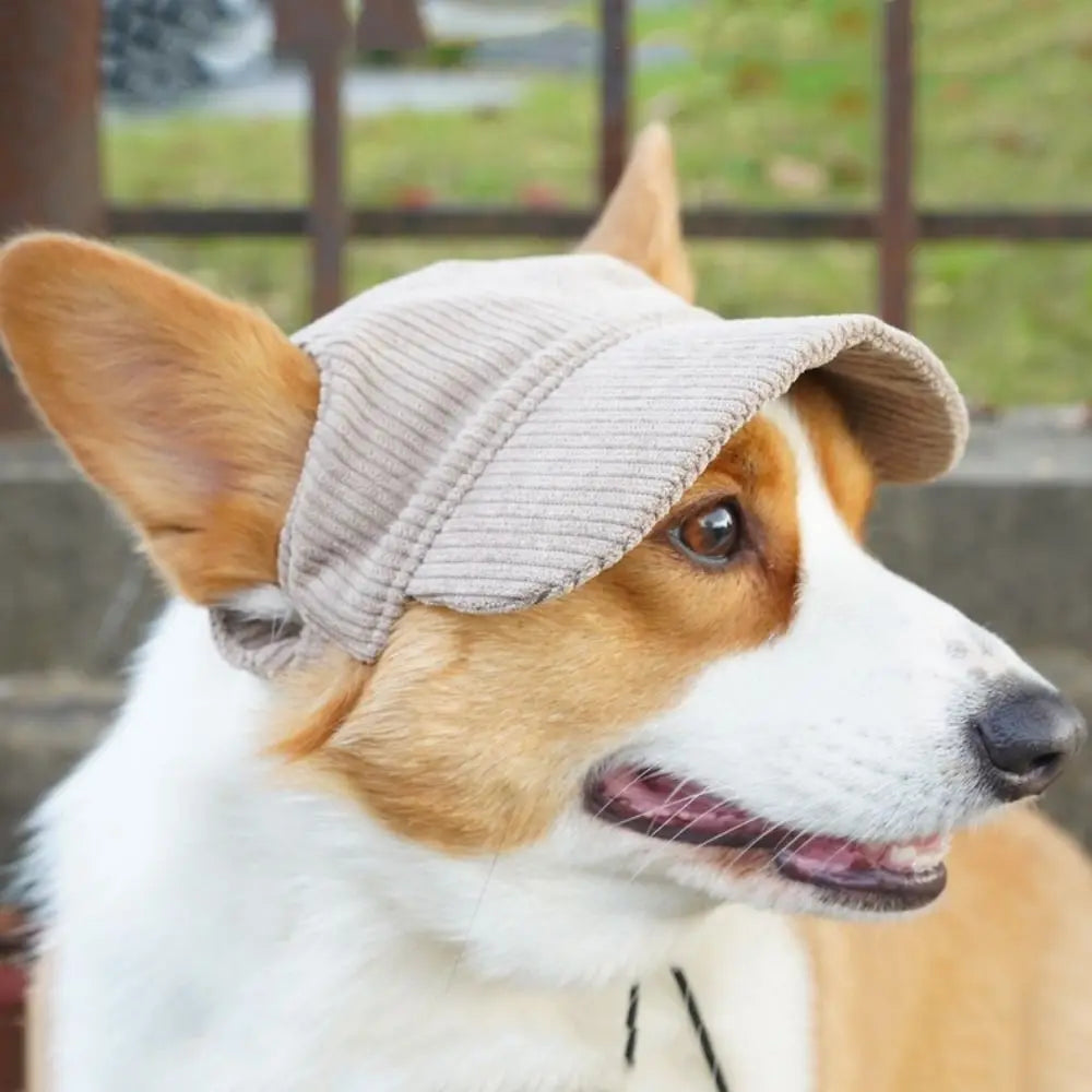 Adjustable Breathable Dog Baseball Cap with Ear Holes - Parent-Child Pet Sun Hat for Hiking